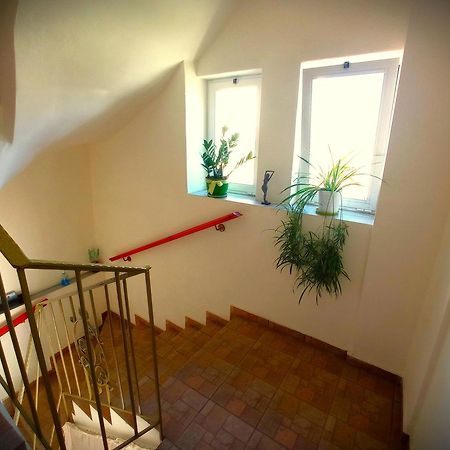 Tasos Seagull Apartments Hriszí Aktí Haniá Kültér fotó